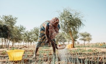 Woman gardening in community garden in Niger.