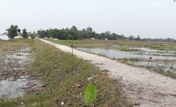 a 750 feet repaired embankment/road, Dhubni, Hatibandha. 