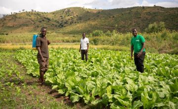 Concern staff member Timothy advises two farmers in Malawi.