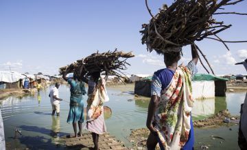 Women carrying firewood in Unity State, South Sudan