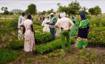 Local farmers gather at Djedidé nursery in Chad.