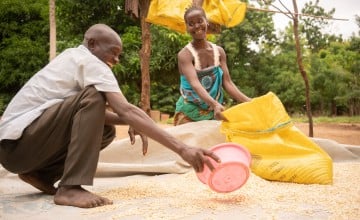 Couple in Malawi drying maize together