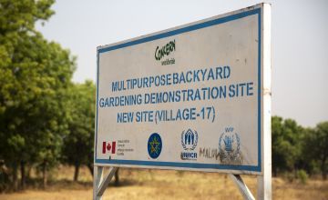 Backyard gardening demonstration plot in Ethiopia