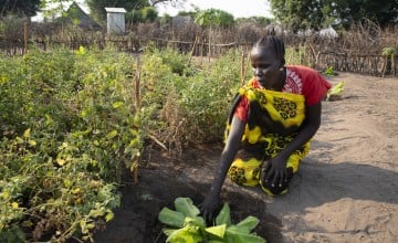 Woman in Ethiopia planting a garden