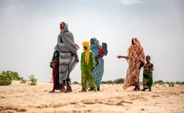Women walking in the Lake Chad region