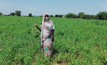 Zara Hissen (pseudonym), a seed distribution beneficiary, shows her groundnut harvest in the Sila Province, Chad, 2020. Photo: Mounbaye Ngodro / APLFT.