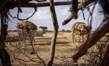 A deserted settlement in Sheekh Samire in Odweine, Somaliland. Photo: Ed Ram/Concern Worldwide