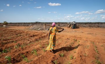 Mumina Mohamed walks back home after tending to her irrigated plot of maize in Subo village. Photo: Lisa Murray/Concern Worldwide