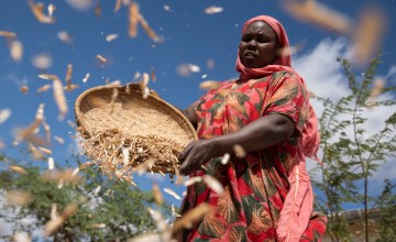 A woman winnows seeds in her garden