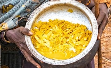 Wild fruits foraged in northern Kenya