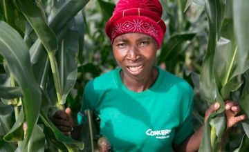 Malawian farmer in her field of maize