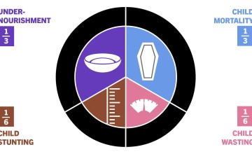 Understanding the Global Hunger Index