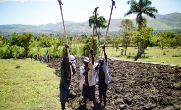 Farmers tilling land in Haiti