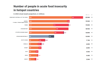 A section of the FAO/WFP Food Insecurity Hotspots for July 2022