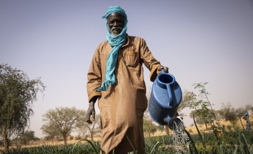 Nigerien man working in a home/kitchen garden