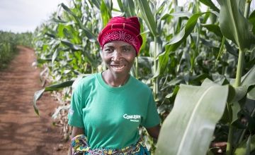 Malawian farmer standing in her maize field