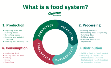 Infographic explaining the four stages of a food system