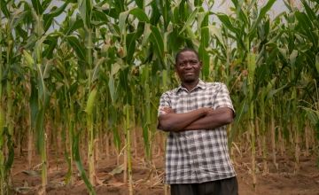 Man in short-sleeved check shirt with crossed arms standing in front of maize field