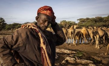 A Kenyan pastoralist with his camels near North Horr in Marsabit