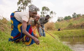 Three farmers, two women and one man, tilling pond banks in Malawi