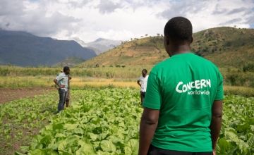 Concern's Timothy Kampira stands with back to camera wearing Concern t-shirt as he advises two farmers in field