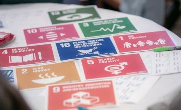 The Government needs to take more action to engage with the business sector regarding the delivery of the Sustainable Development Goals (SDGs), according to a new report by Concern Worldwide.