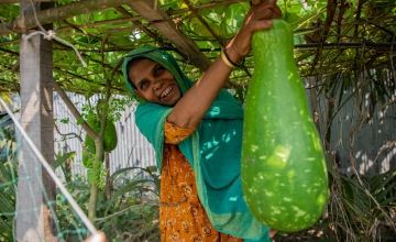 Malika Begum is a programme participant of the Zurich programme. She benefitted hugely from the CSA aspect and learned to grown vegetables, even when there is flooding. She grows them on raised platforms. Photo: Gavin Douglas/ Concern Worldwide