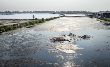 Bangladesh is one of the world’s most vulnerable countries to climate change. With 85% of people devoid of safe drinking water, the riverine and coastal Mongla Upazila in the Bagerhat district bear the brunt of the problem. An invasion of saline seawater has made the sweet water in ponds, canals, and other water bodies of the district’s coastal villages unfit. Salinity higher than the permissible limit has also been found in underground water, making it difficult for the villagers to use healthy water. Phot