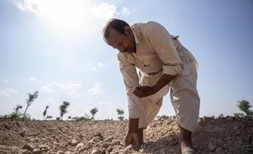Farmer in Sindh planting seeds 