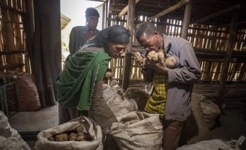 Gelsha Kebele potato storage in the Delanta Programme Area of Ethiopia