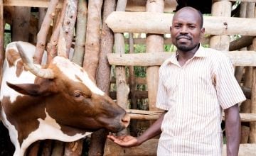 Emmanuel owns a cow which he keeps at his parents' house. He also has two goats and would like to buy chickens.