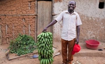 Emmanuel recently harvested 40 kilos of bananas from his small banana plantation.