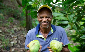 Jaques Delouis with some mangoes from the plantation where he works in the Centre department of Haiti. Photo: Kieran McConville/Concern Worldwide