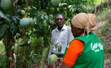 Province Olive, local Casec (community leader) talks to Mimose Jeune of Concern at his mango farm in the Centre department of Haiti. Photo: Kieran McConville/Concern Worldwide