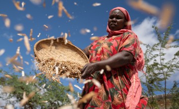A farmer in Kenya winnows mung beans