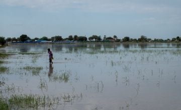 Flooded fields in Leer County, Unity State, South Sudan. Photo: Jon Hozier-Byrne/Concern Worldwide