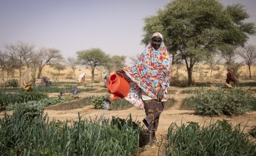 Doma Mahamadou (70) is a great-grandmother with 7 children, 10 grandchildren, and 5 great-grandchildren. She works in her home garden in Tounji Illy, Niger. (Photo: Ed Ram/Concern Worldwide)