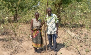 Godfrey Sain (45) and Agness Bowa (33) at a new mango tree in their home garden in Lundu Village, Group Village Headman Lundu, TA Malemia, Nsanje District, Malawi. Godfrey is a lead farmer and gender equality advocate. (Photo: Chris Gagnon/Concern Worldwide)