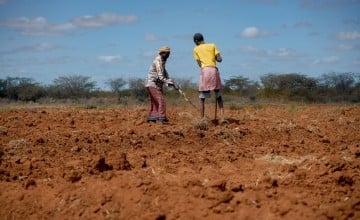 Farmers Hassan Ali (30) and Adam Mohamed (25) prepare the fields for planting in Bardhere District, Somalia. They have taken part in an ECHO-funded system restoration project led by BRCiS & Lifeline Gedo under Concern's resilience programme. (Photo: Concern Worldwide)