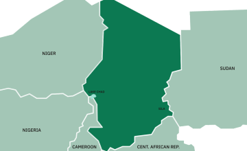 A map of Chad (including Lake Chad), as well as neighboring countries. (Image: Concern Worldwide)