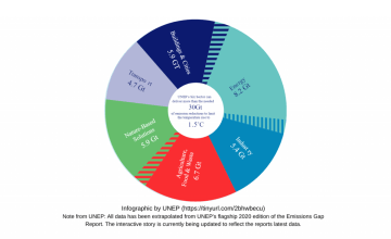 The United Nations Environment Programme's Six Sector Solution to Climate Change (Image courtesy of the UNEP)