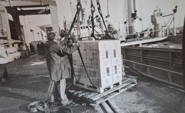 The “Svea Atlantic,” chartered by Concern to bring 2,000 tonnes of famine relief to Ethiopia in 1990. After leaving from Dublin port on 19 January, 1990, the ship was attacked and boarded in Massawa, Eritrea on 12 February and released the following week without its cargo. (Photo: Concern Worldwide)