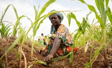 Mwanaesha Haluwa Haji tends to a plot of maize in Makere village in Kenya’s Tana River County. (Photo: Lisa Murray/Kerry Group/Concern Worldwide)