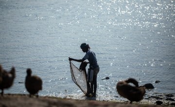 Rampada a fisherman from the Munda community is busy catching fish in the river Rai, in Dacope, Bangladesh. The indigenous community is particularly dependent on catching from the river and living on the Sundarban due to the lack of any other scopes of work. Photo: Mumit M/Concern Worldwide