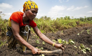 Zainab Kargbo at her farm plot on a rehabilitated swamp near her home in Magborkorr, Sierra Leone. Photo: Kieran McConville/Concern Worldwide