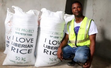 Concern Field Technician Joseph Swarey stands by bags of harvested rice. Joseph is a member of the Community of Hope Agriculture Project staff in Gaye Peter Town, Liberia. (Photo: Concern Worldwide)