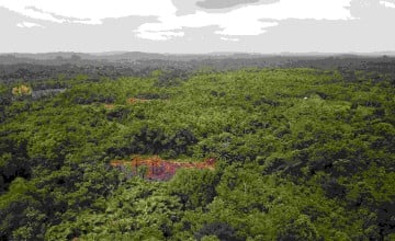 Aerial view of rural Grand Bassa in Liberia. Photo: Kieran McConville/Concern Worldwide