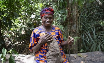 Yaiye Conteh with a bush yam she has harvested from the forest near her home in Yonkibor, Sierra Leone Photo: Kieran McConville/Concern Worldwide