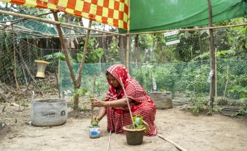 Ruksana Begum planting seeds