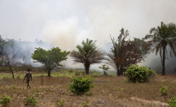 Land clearance using fire is popular in Sierra Leone, but environmentally unfriendly. Photo: Kieran McConville/Concern Worldwide